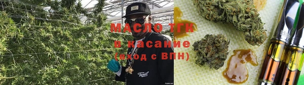 молекула духа Переславль-Залесский