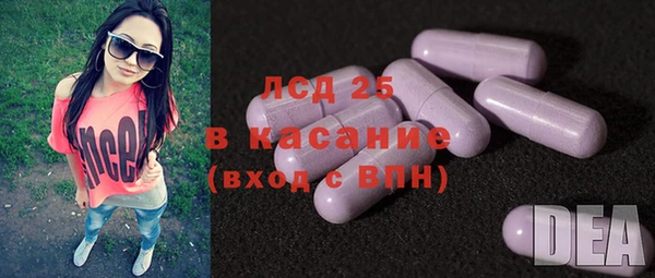 индика Абаза