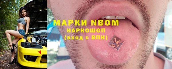 молекула духа Переславль-Залесский