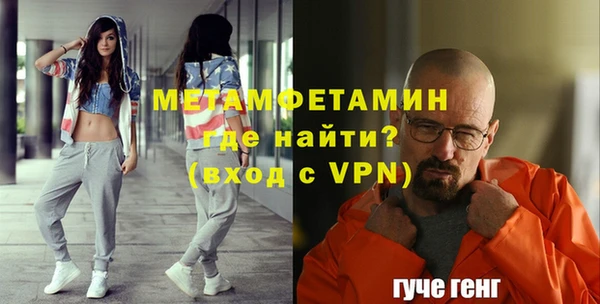 индика Абаза
