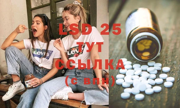 индика Абаза