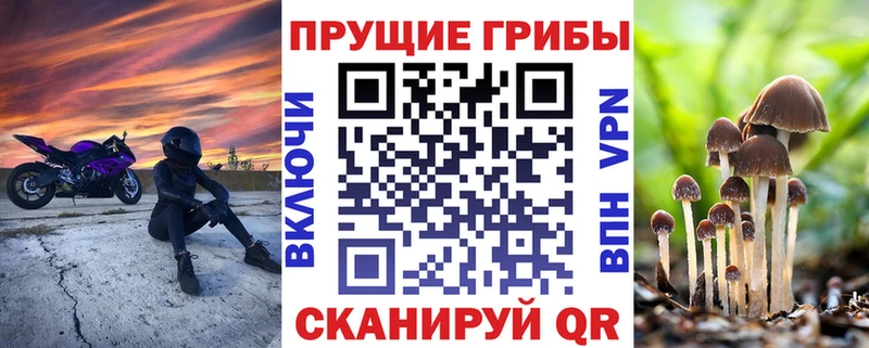 Псилоцибиновые грибы Psilocybine cubensis omg ссылка Северская наркошоп